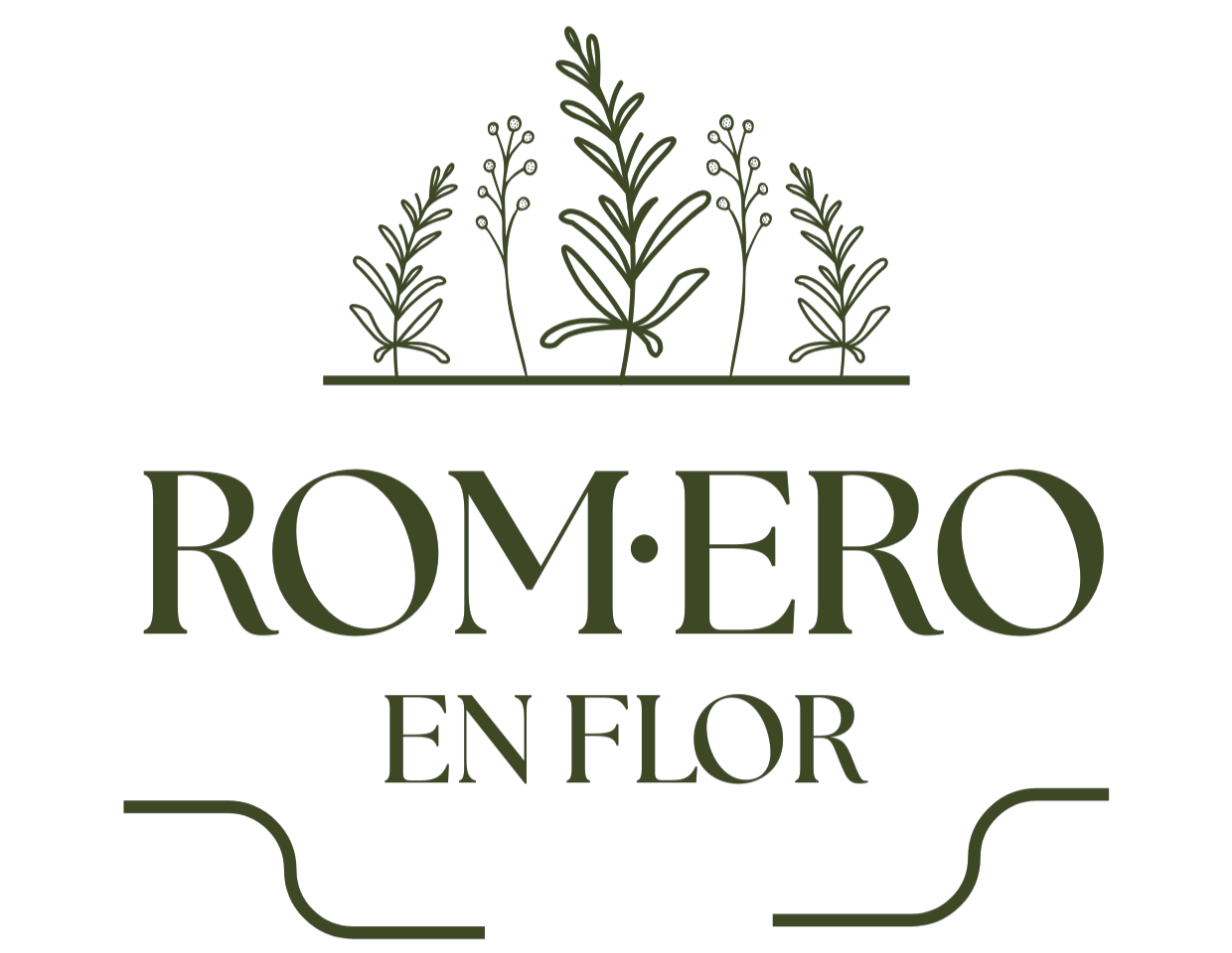 Romero en Flor | Floristería 