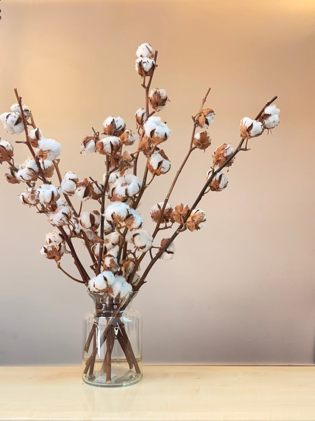 Ramo Winter Bloom | Algodón natural seco y eucalipto preservado