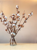 Ramo Winter Bloom | Algodón natural seco y eucalipto preservado