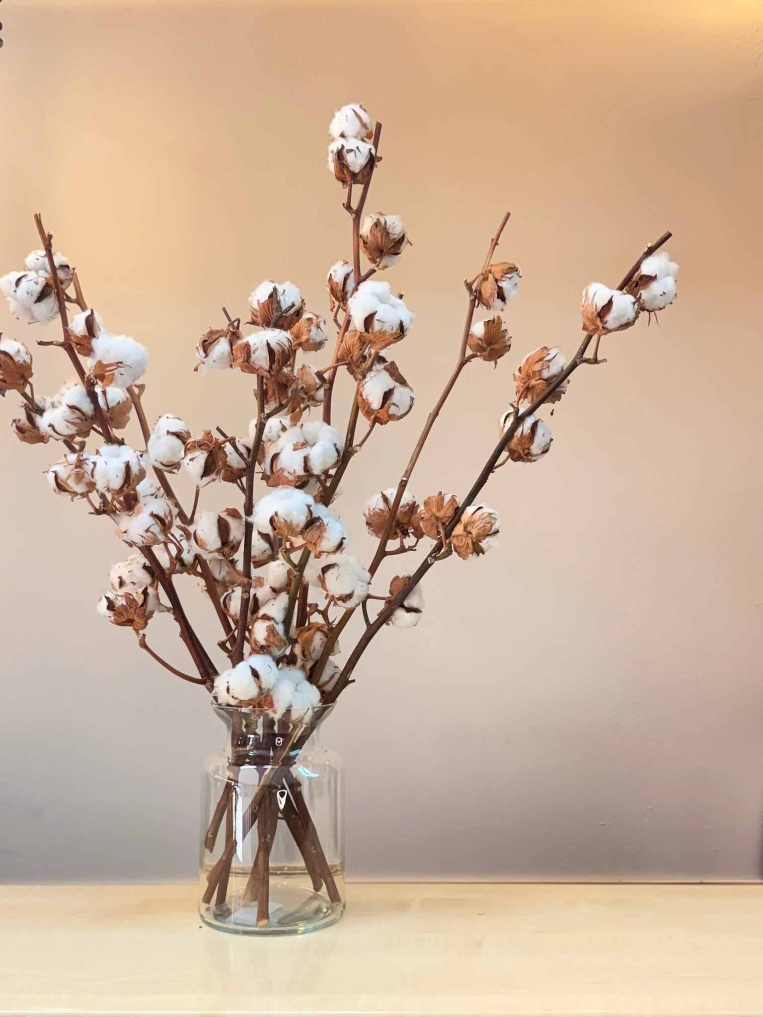 Ramo Winter Bloom | Algodón natural seco y eucalipto preservado