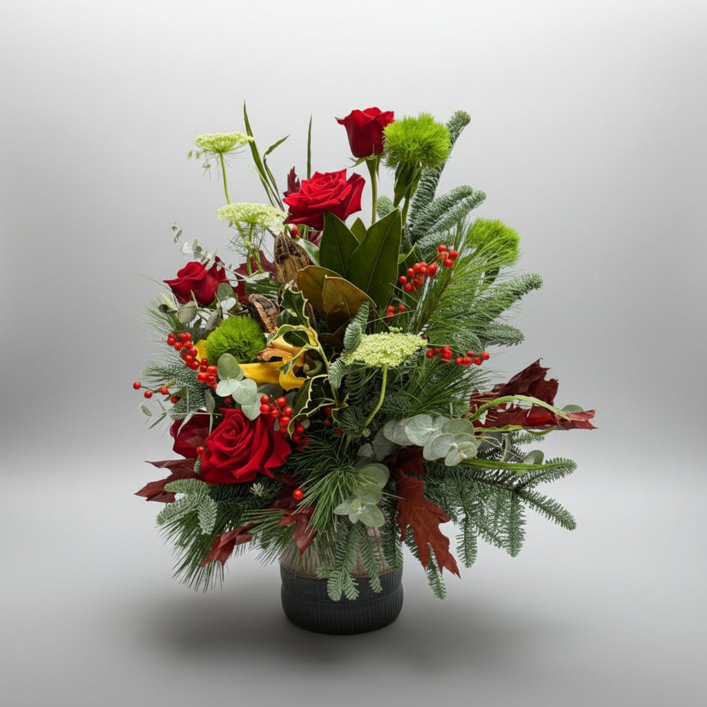 Encanto Nóbilis | Centro premium de Navidad