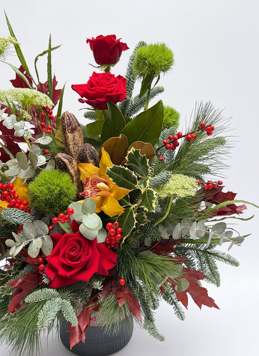 Encanto Nóbilis | Centro premium de Navidad