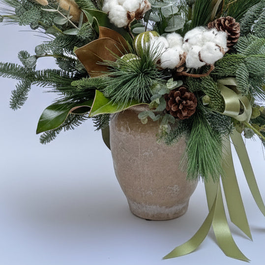 Centro Nevada | Centro Navideño