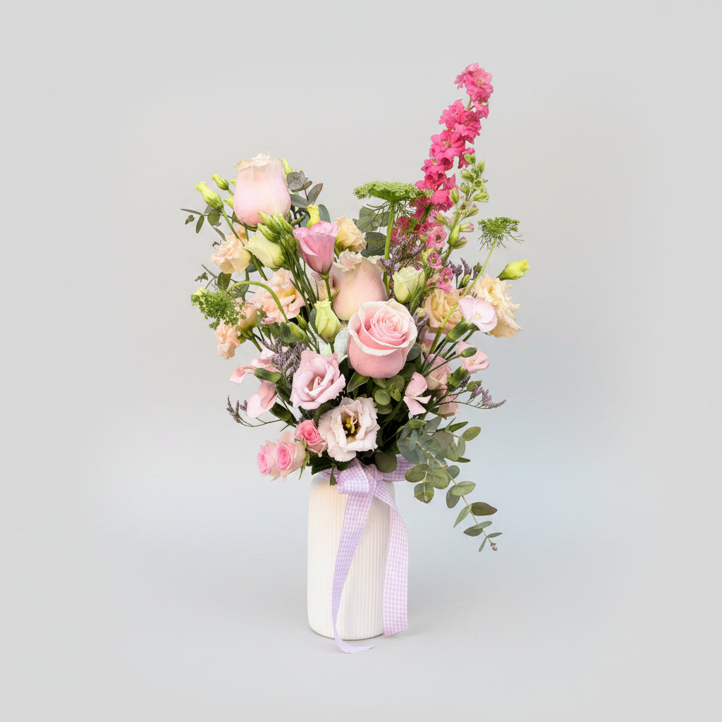 Centro Clara — Edición Limitada