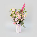 Centro Clara — Edición Limitada