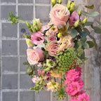 Centro Clara — Edición Limitada