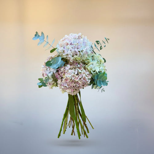 Ramo de Hortensias naturales en color rosa palo y verdes de eucalipto natural fresco